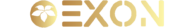 Exon Group